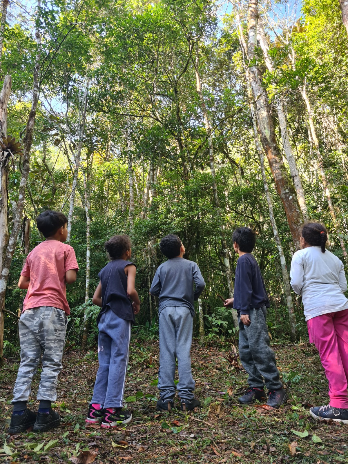 Projeto oferece “banho de floresta” para crianças e jovens em Juquitiba