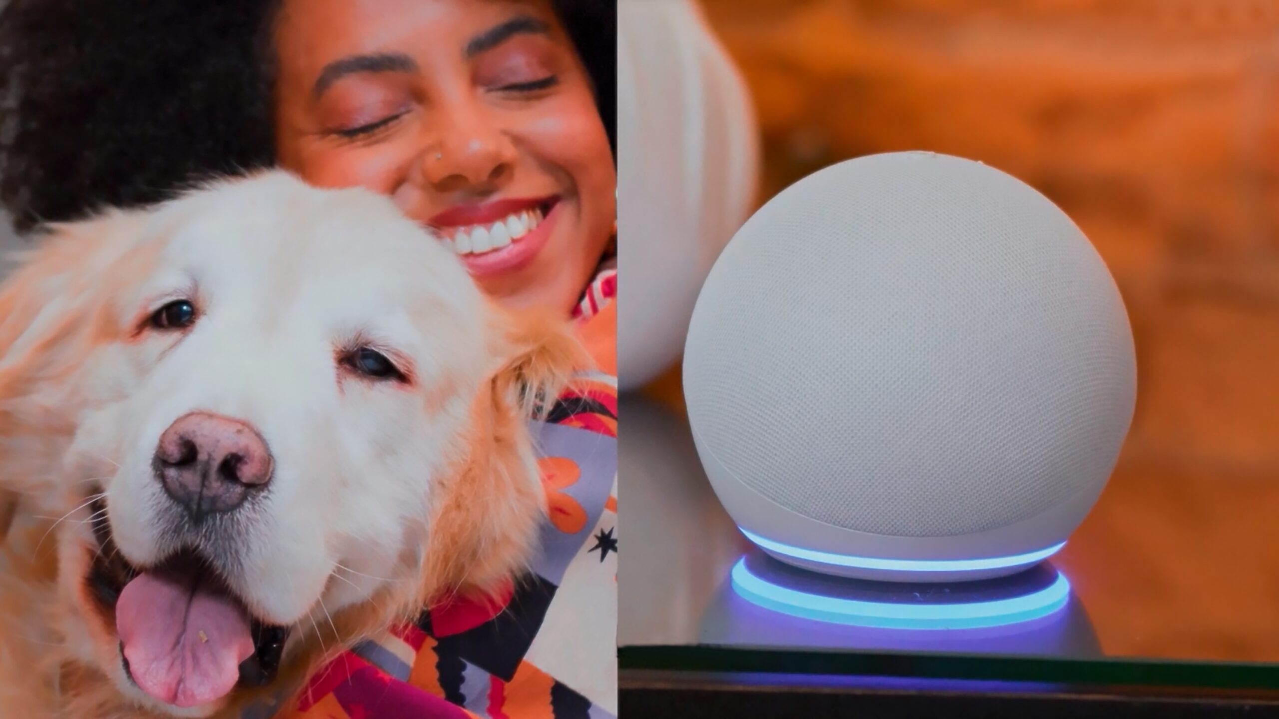 Alexa traz conteúdos sobre nutrição e saúde de cães e gatos